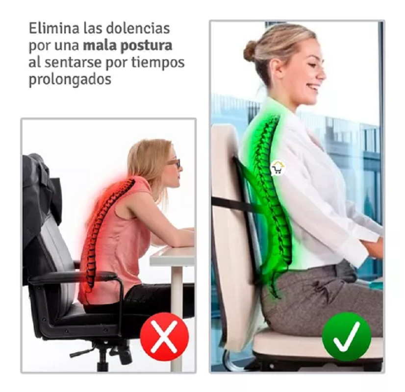 Miniatura 5 de Espalda Lumbar Silla Carro Cpe01